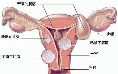 第1463页