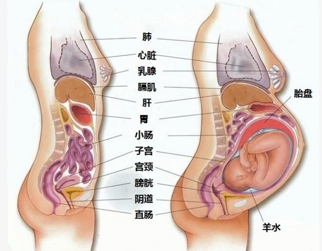 第1453页