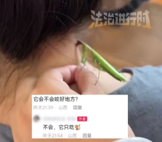 第1129页